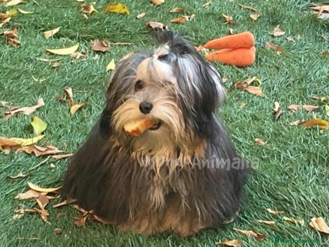 Imagen de galería {{count}}