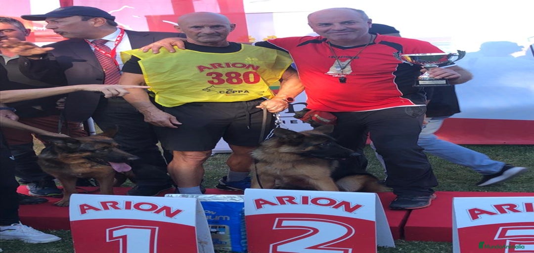 Imagen de galería {{count}}