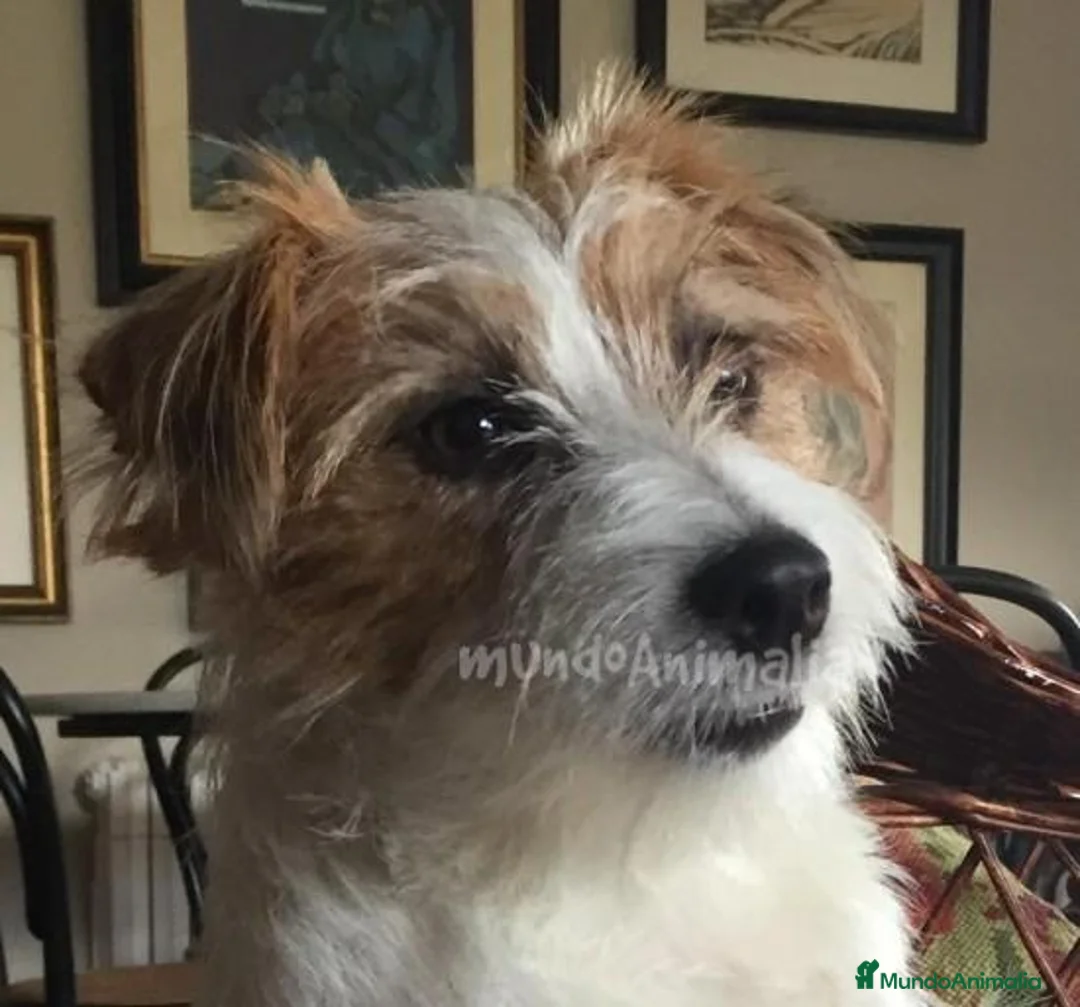 Imagen de galería {{count}}