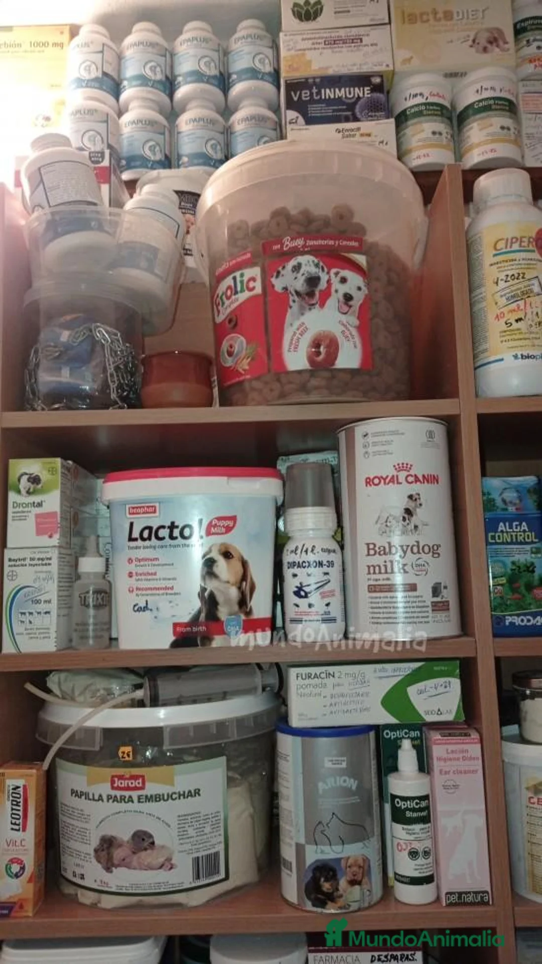 Imagen de galería {{count}}