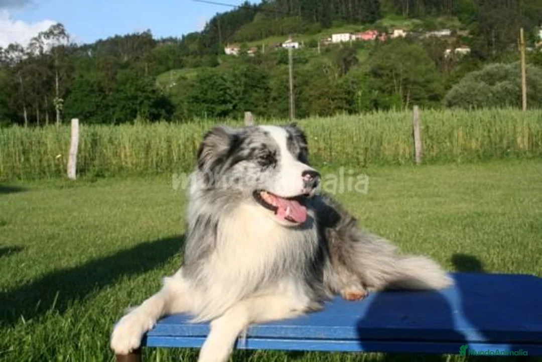 Imagen de galería {{count}}