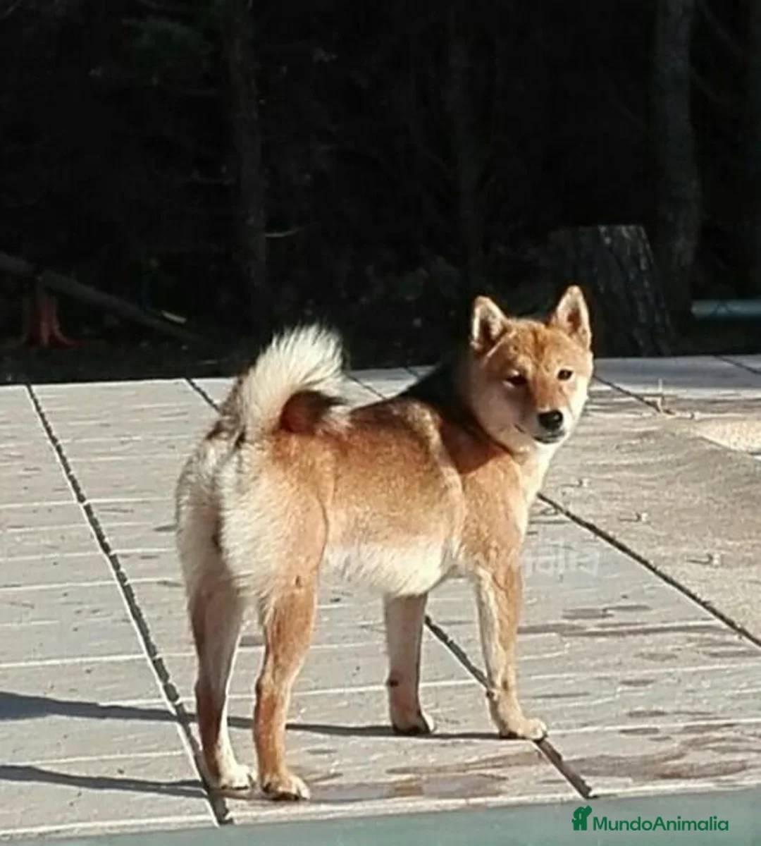 Imagen de galería {{count}}