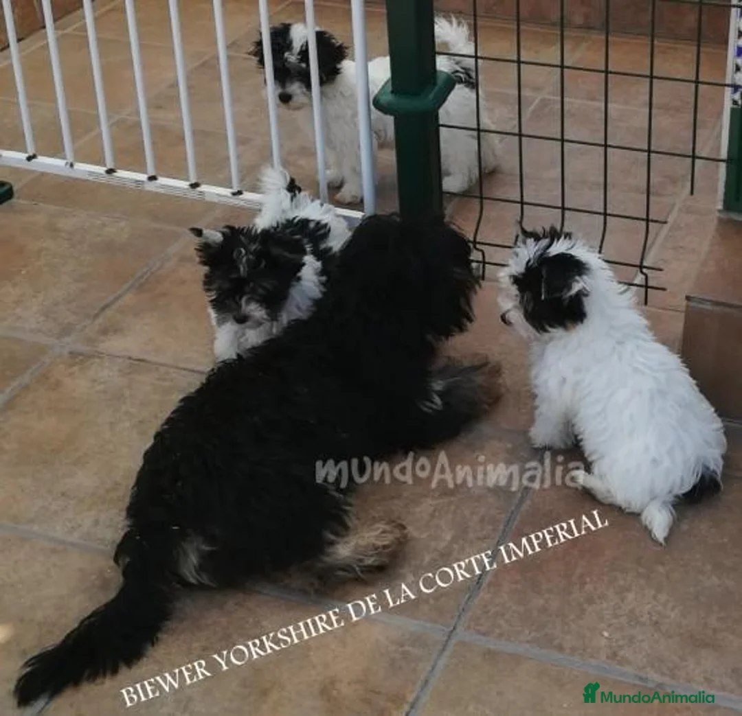 Imagen de galería {{count}}