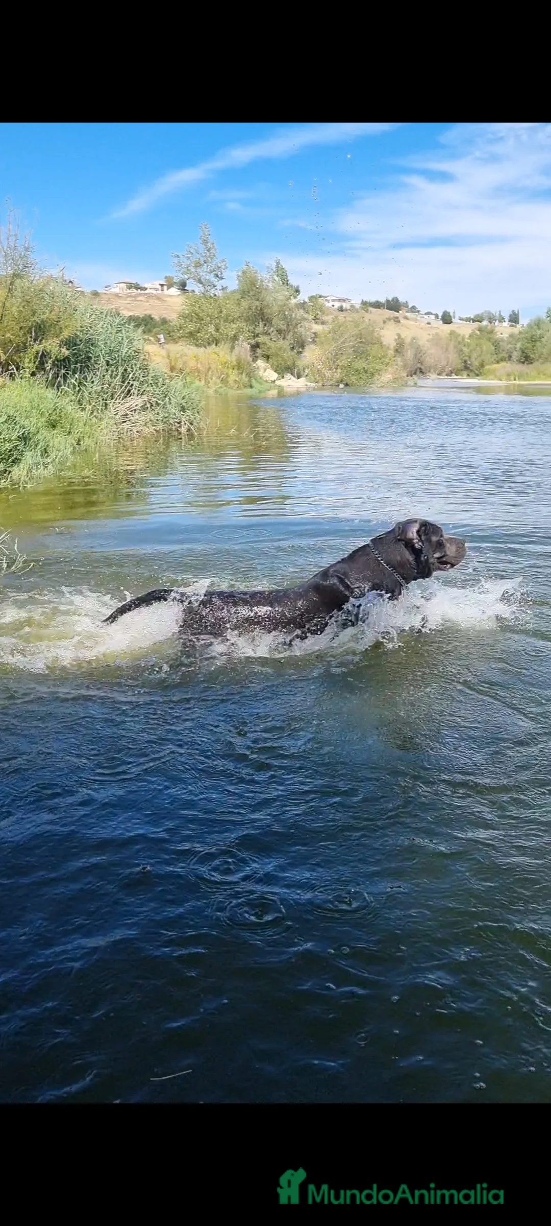 Imagen de galería {{count}}