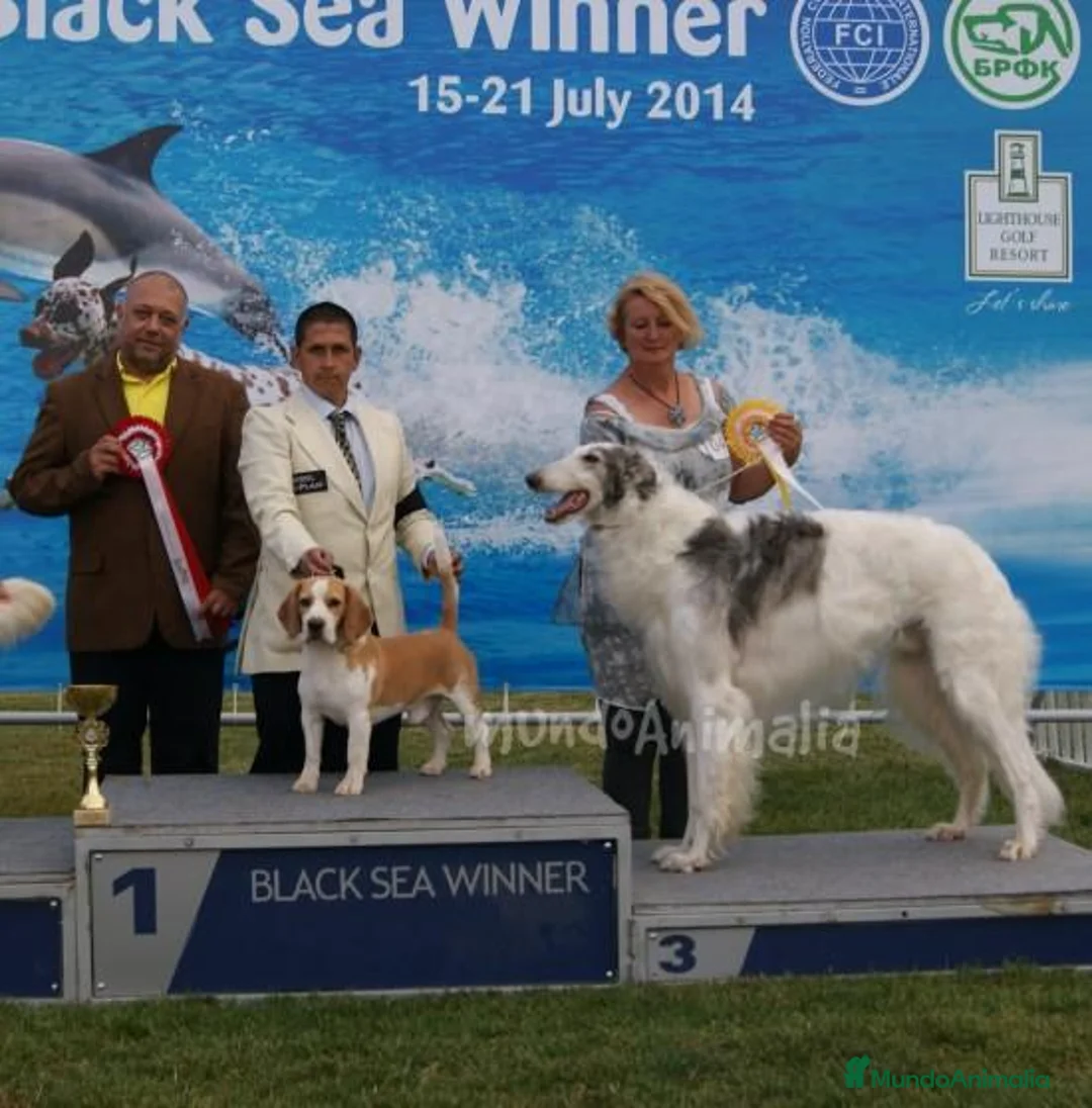 Imagen de galería {{count}}