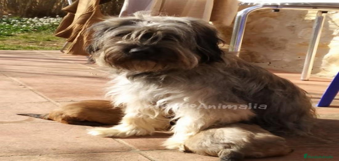 Imagen de galería {{count}}