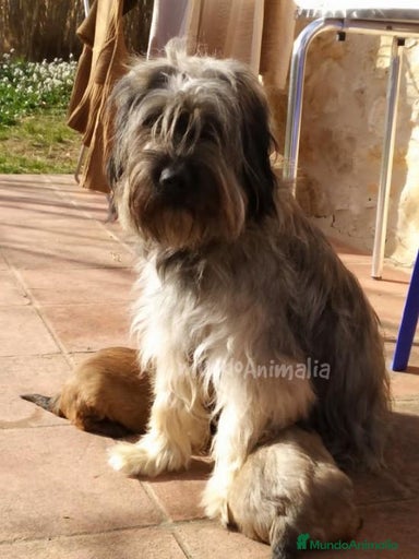 Imagen de galería {{count}}