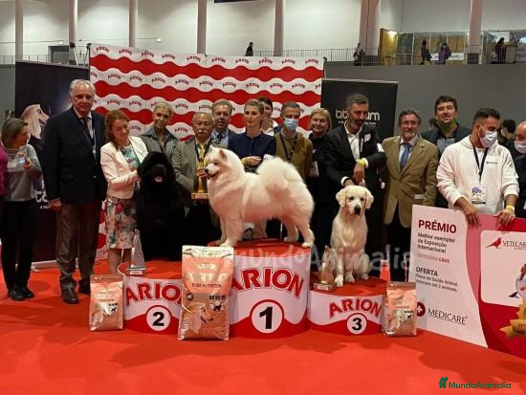 Imagen de galería {{count}}