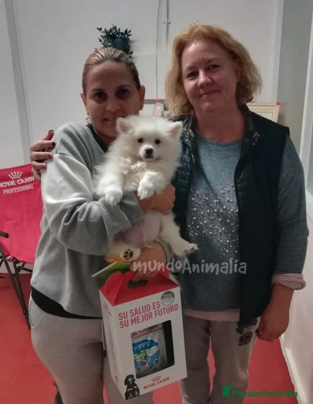 Imagen de galería {{count}}