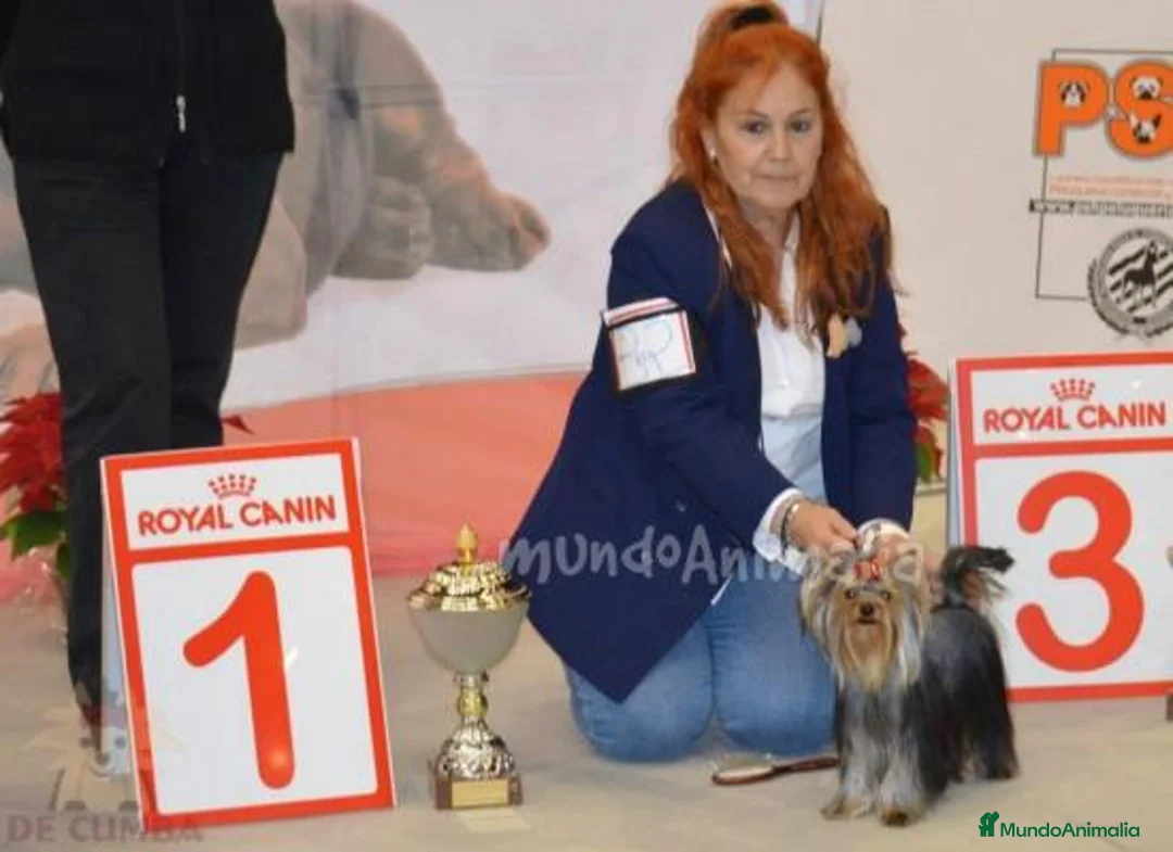 Imagen de galería {{count}}