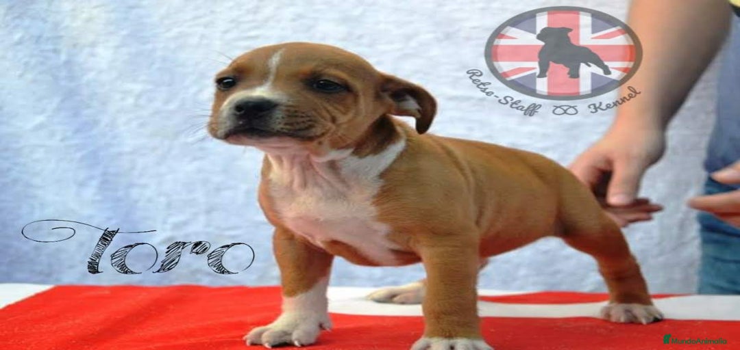 Imagen de galería {{count}}