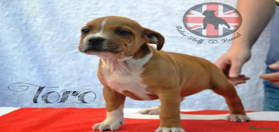 Imagen de galería {{count}}