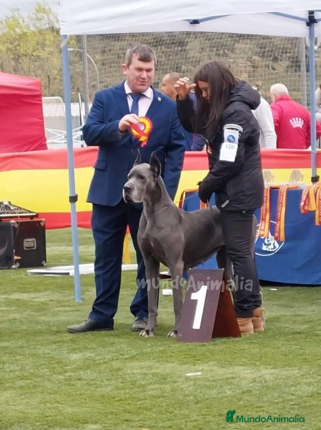 Imagen de galería {{count}}