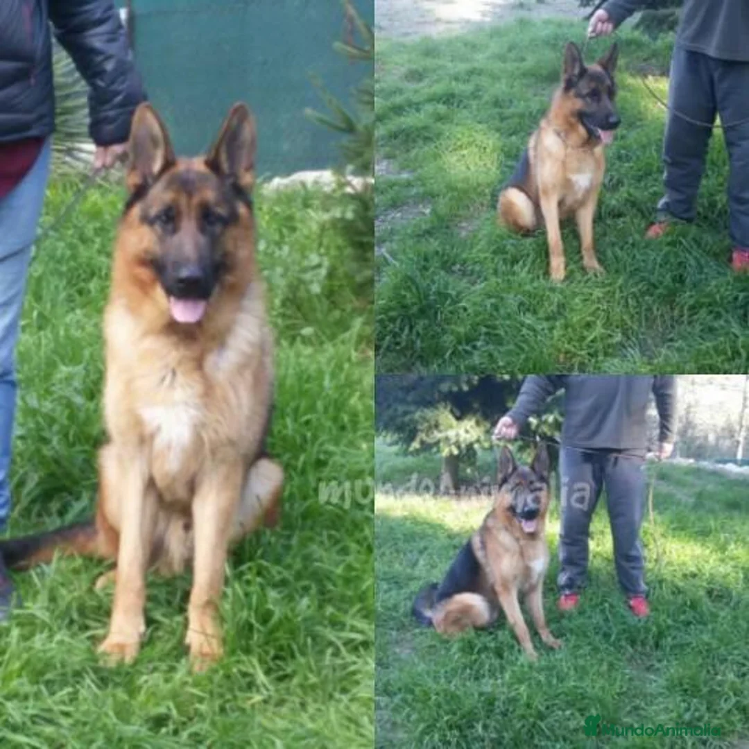 Imagen de galería {{count}}