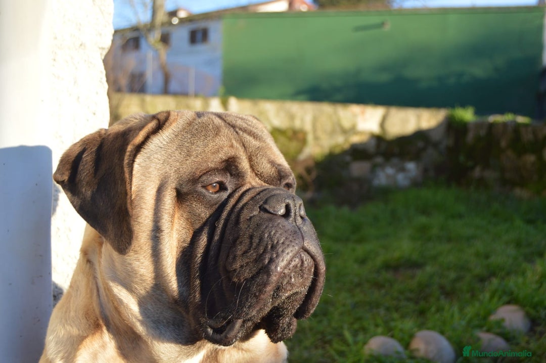 Imagen de galería {{count}}