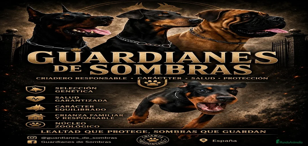 Imagen de galería {{count}}