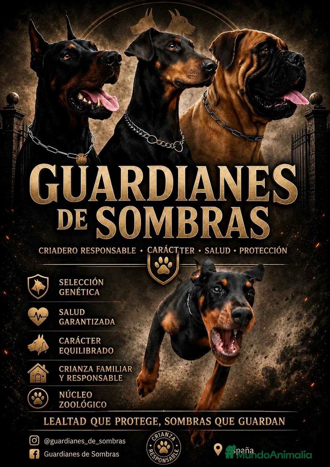 Imagen de galería {{count}}