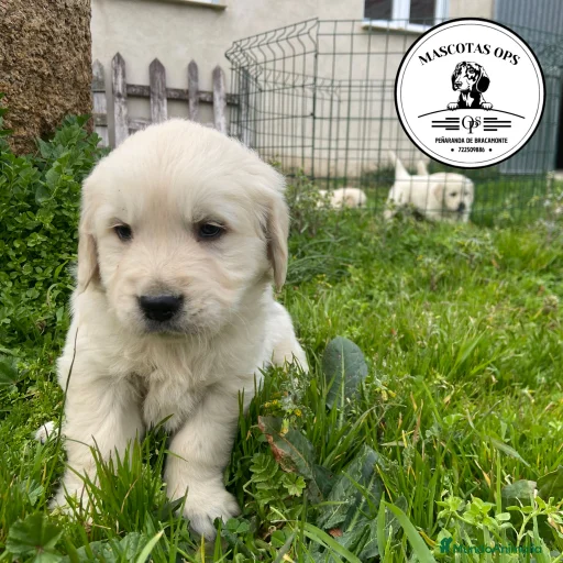 Imagen de galería {{count}}