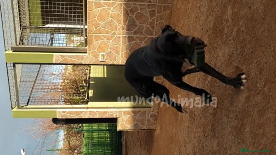 Imagen de galería {{count}}