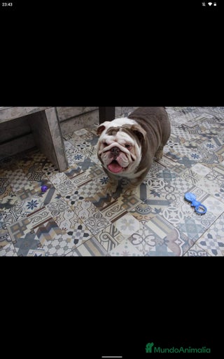 Imagen de galería {{count}}