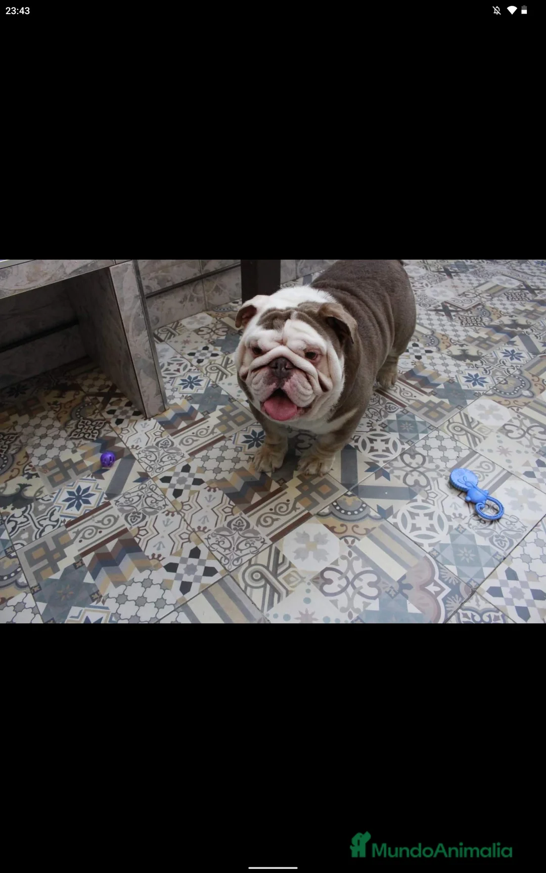 Imagen de galería {{count}}