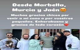 American Staffordshire-Terrier perros en venta: American Stanford (transparencia) - Anuncio 17