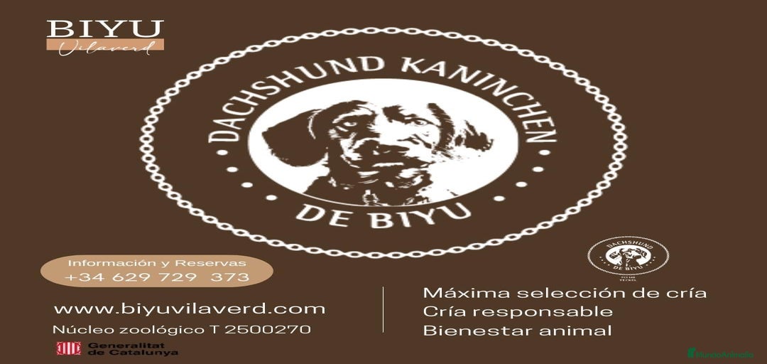 Imagen de galería {{count}}