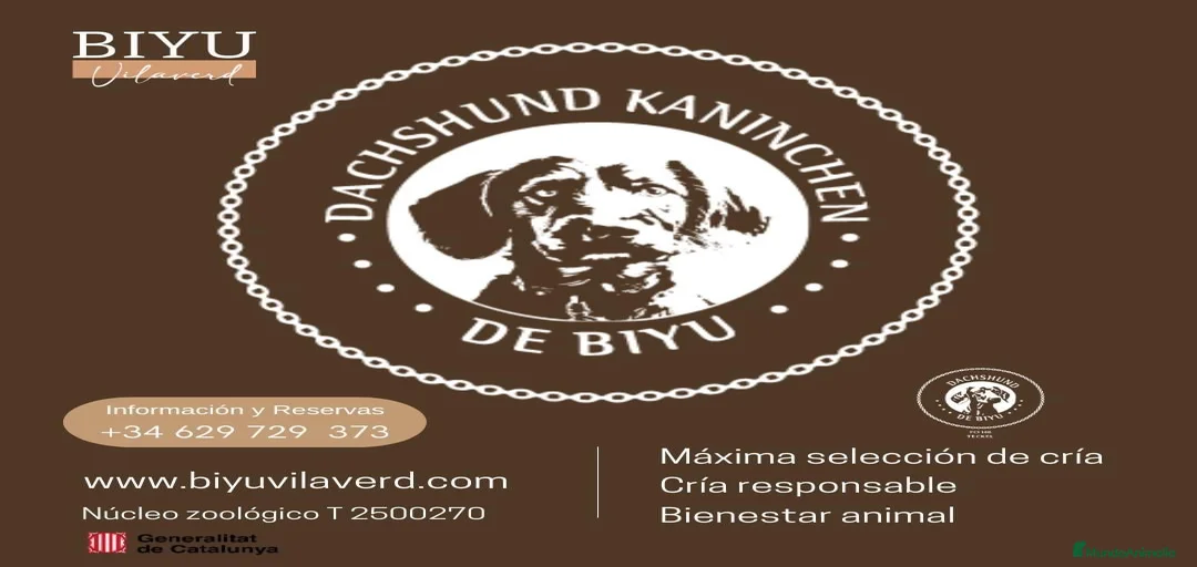 Imagen de galería {{count}}