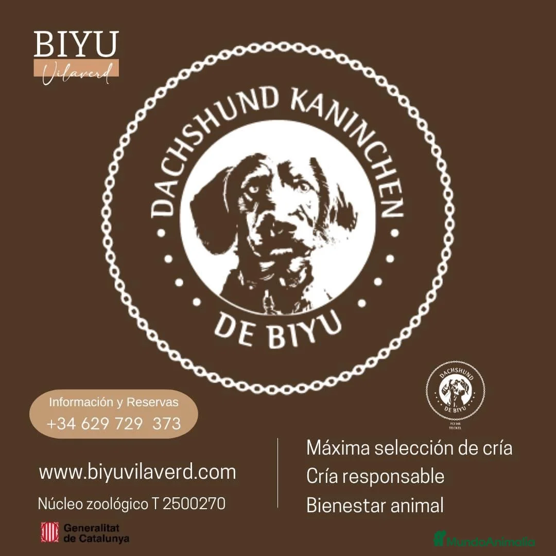 Imagen de galería {{count}}