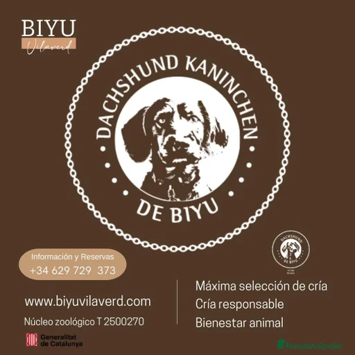 Imagen de galería {{count}}