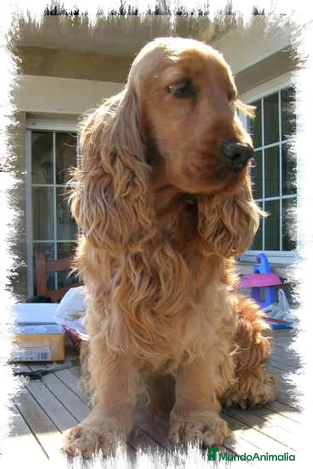 Imagen de galería {{count}}