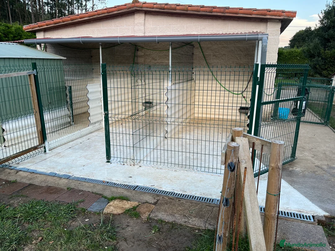 Imagen de galería {{count}}