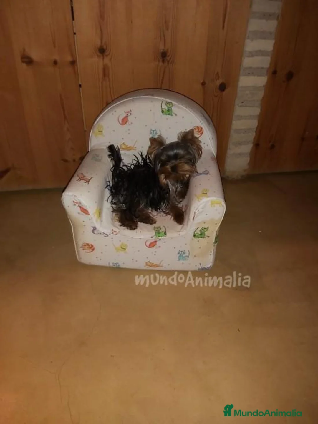 Imagen de galería {{count}}