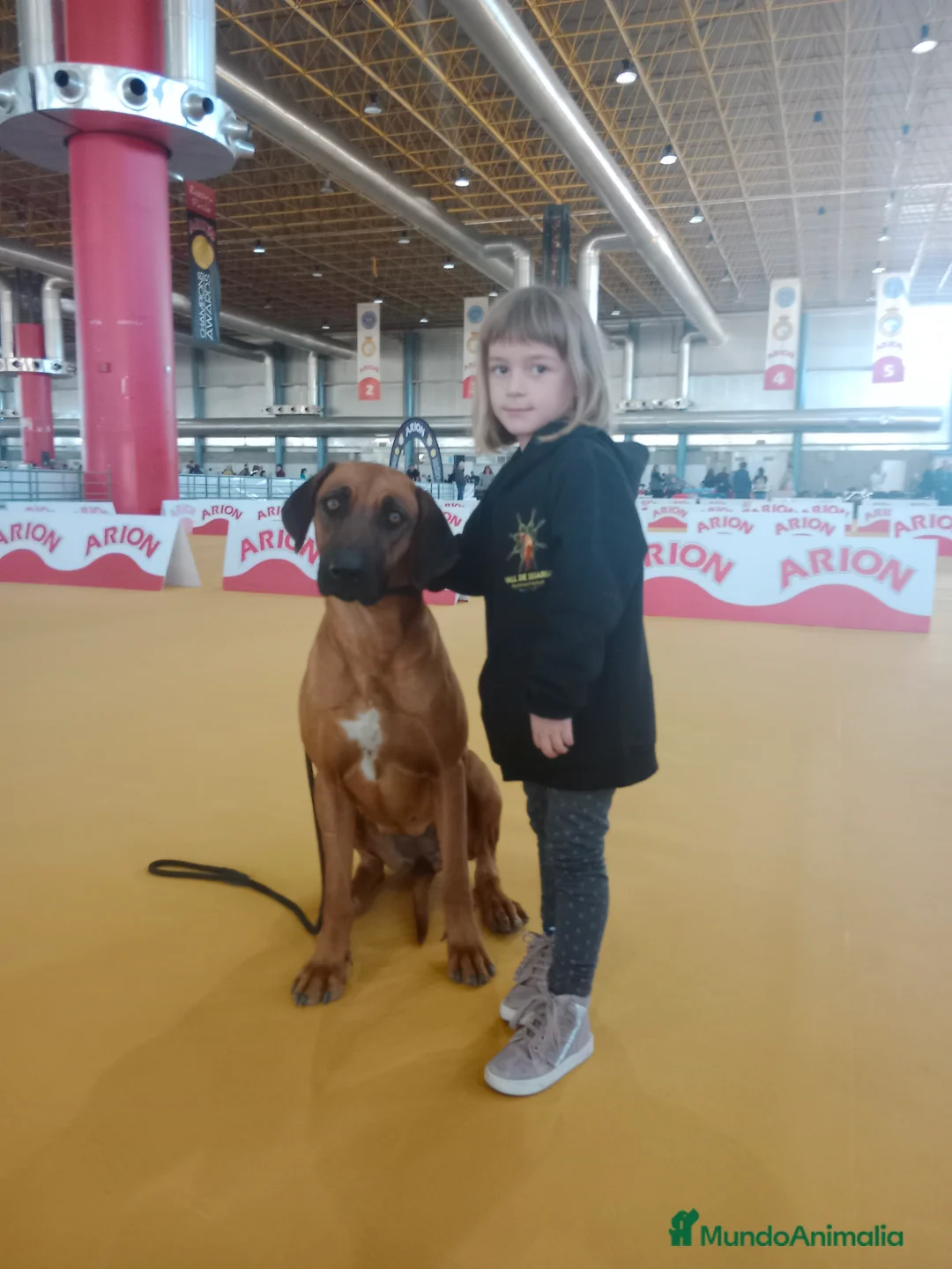 Imagen de galería {{count}}