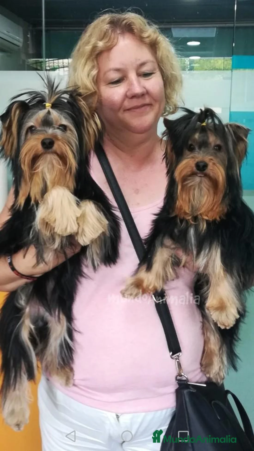 Imagen de galería {{count}}