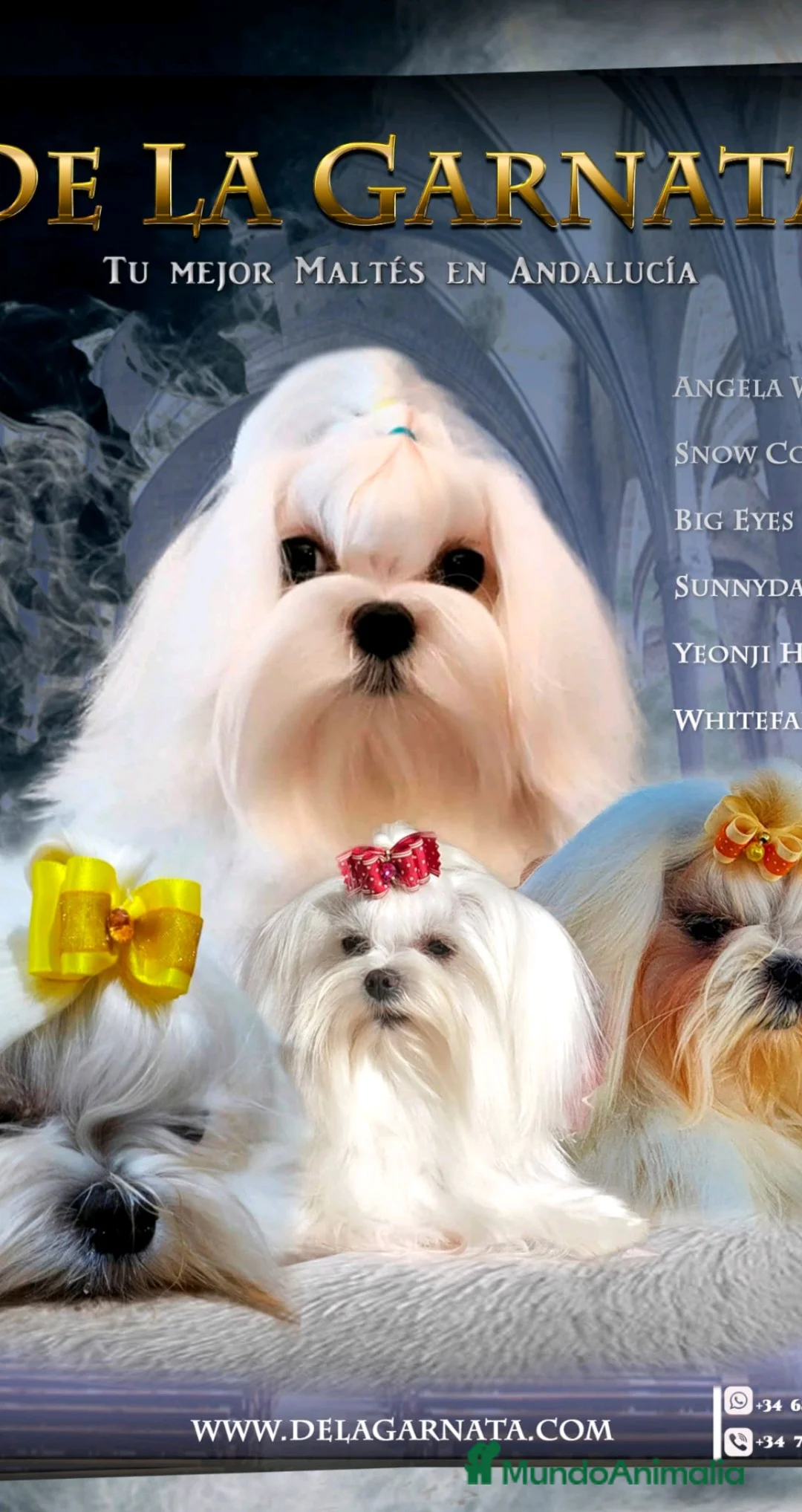 Imagen de galería {{count}}