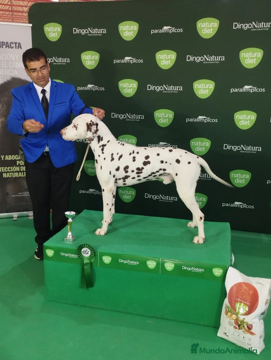 Imagen de galería {{count}}