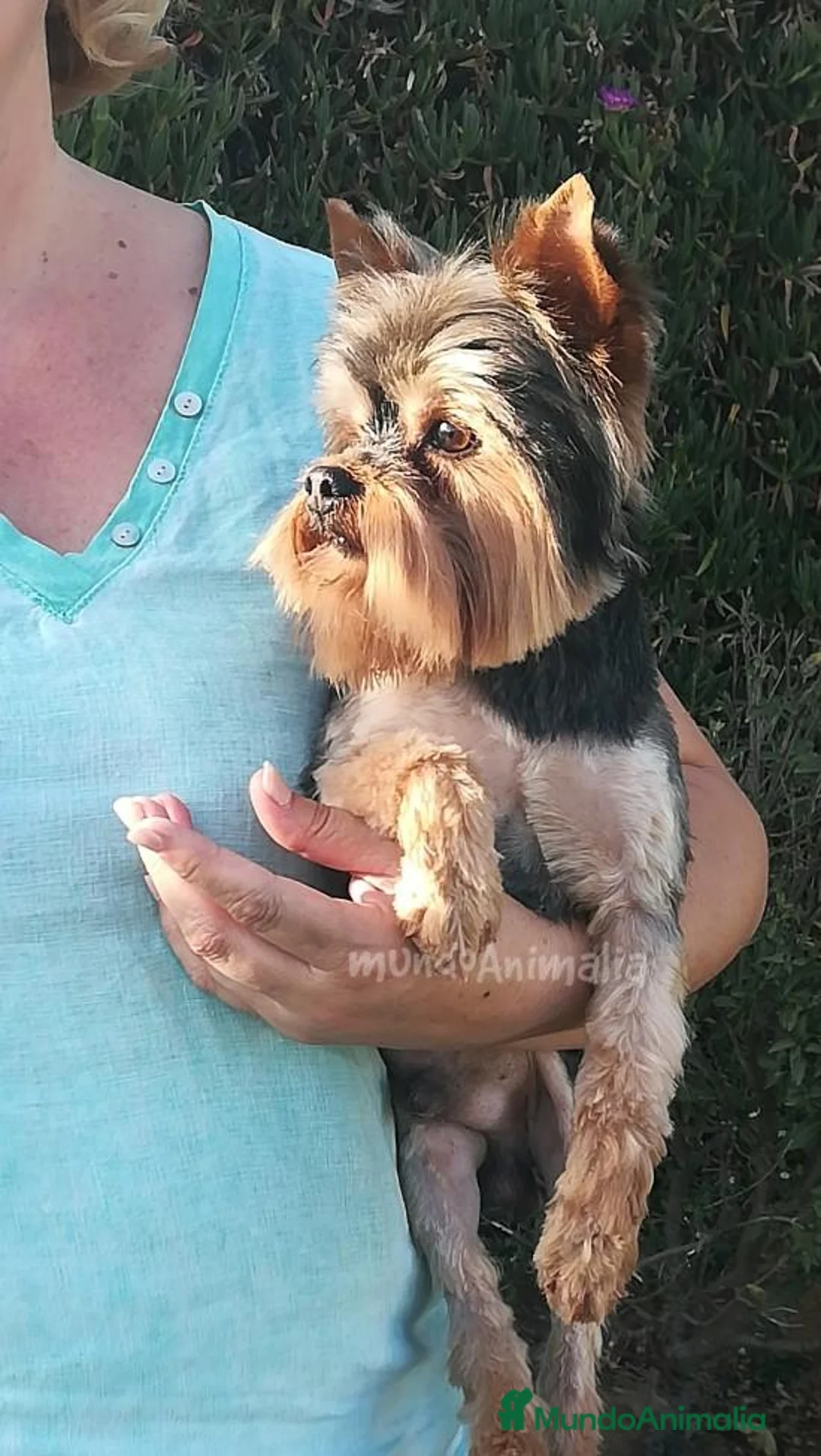 Imagen de galería {{count}}