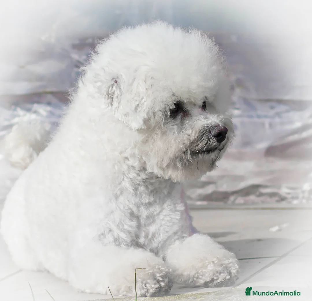 Imagen de galería {{count}}