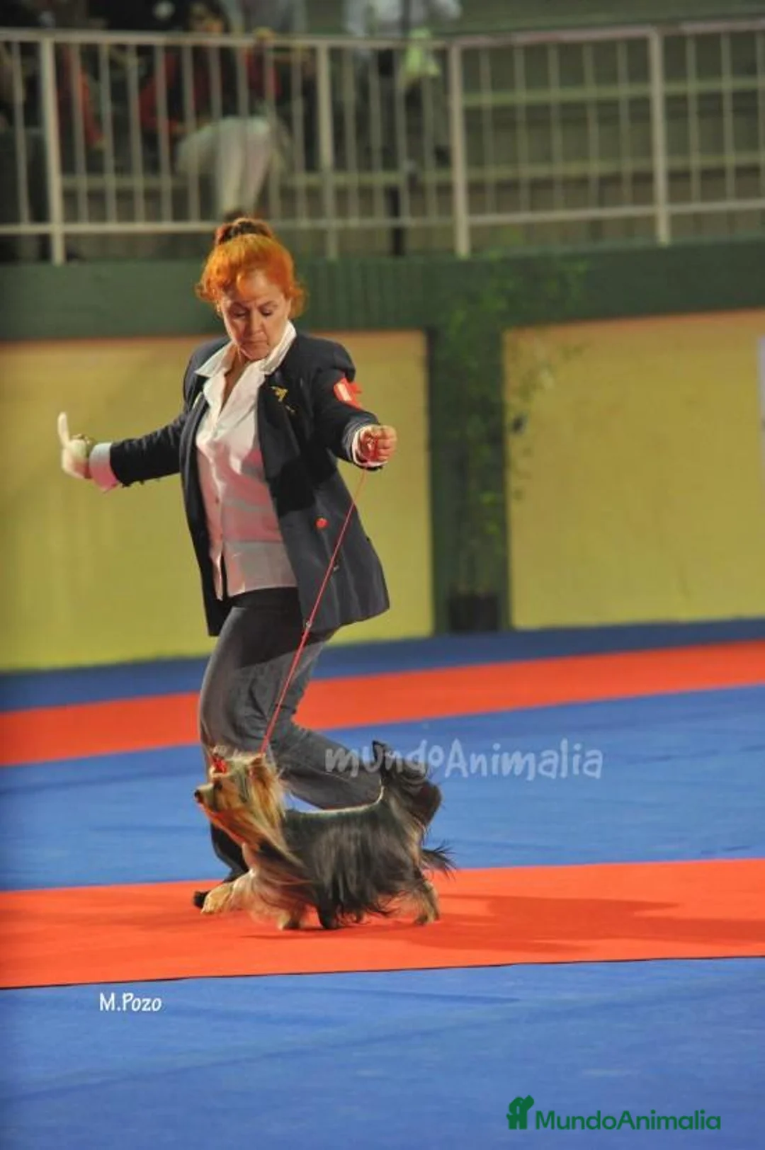 Imagen de galería {{count}}