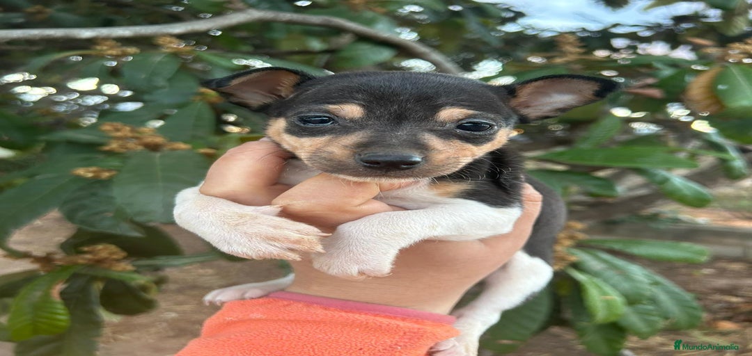 Imagen de galería {{count}}