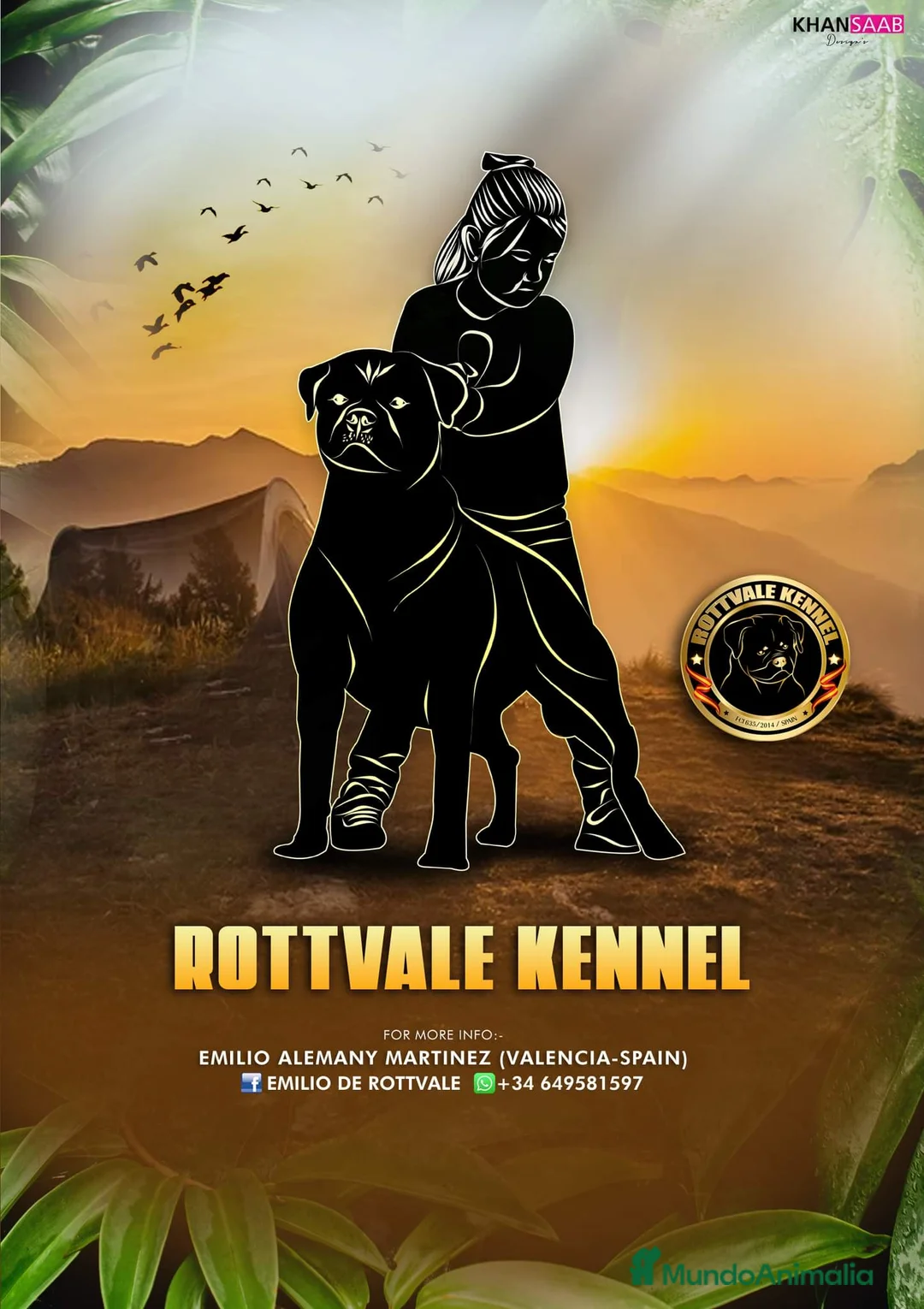 Rottweiler perros en venta: Cachorros de Rottweiler cria y selección en Valencia - Anuncio 11