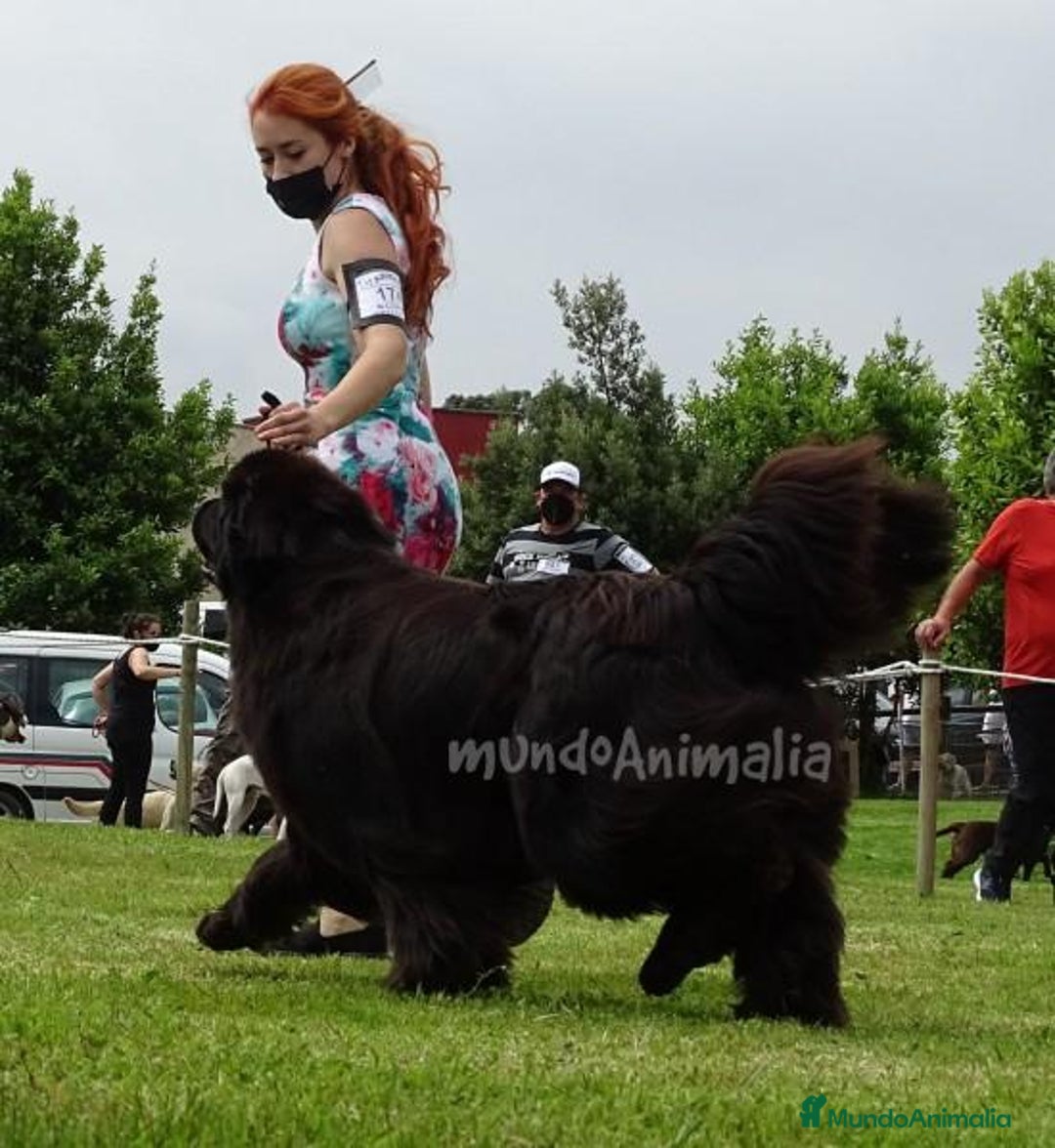 Imagen de galería {{count}}