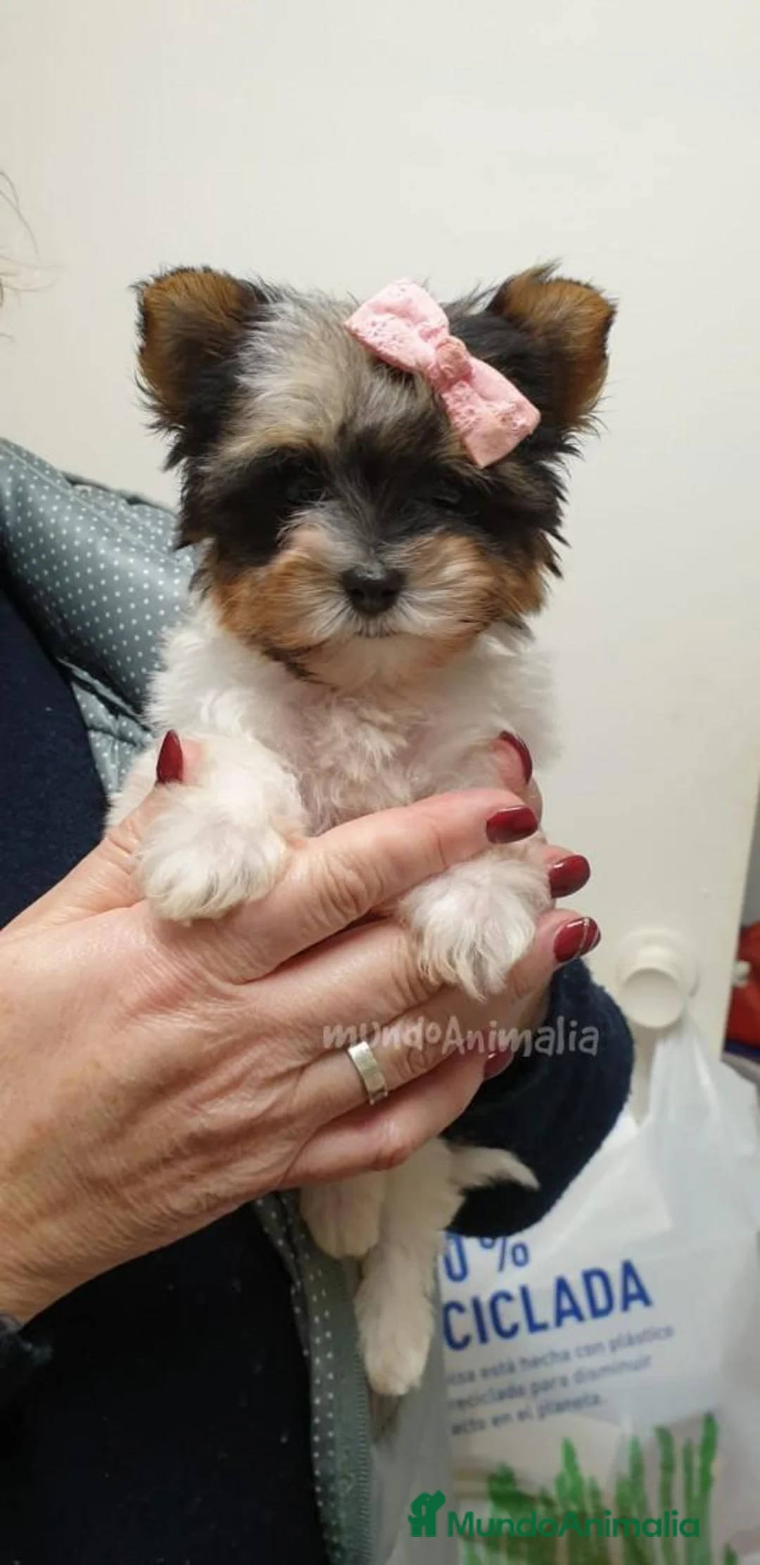 Imagen de galería {{count}}