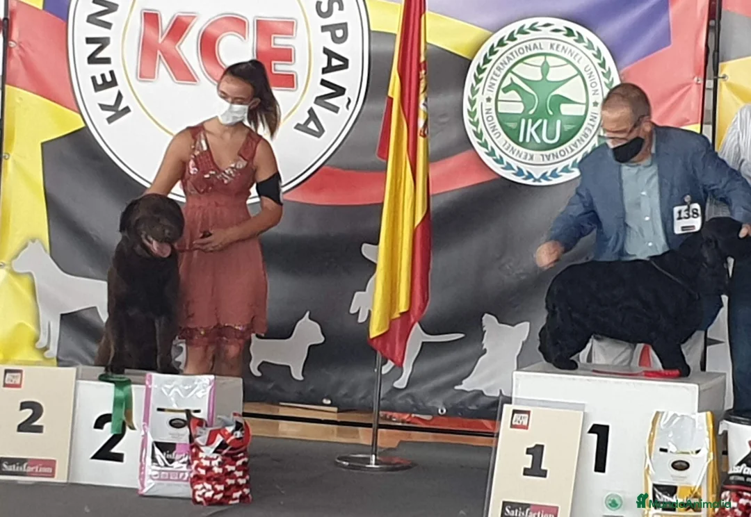 Imagen de galería {{count}}