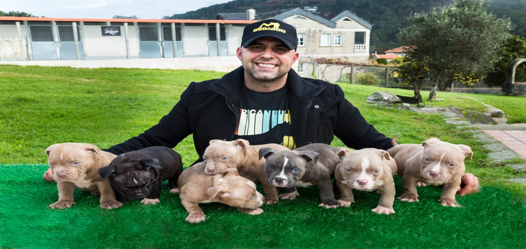 Imagen de galería {{count}}