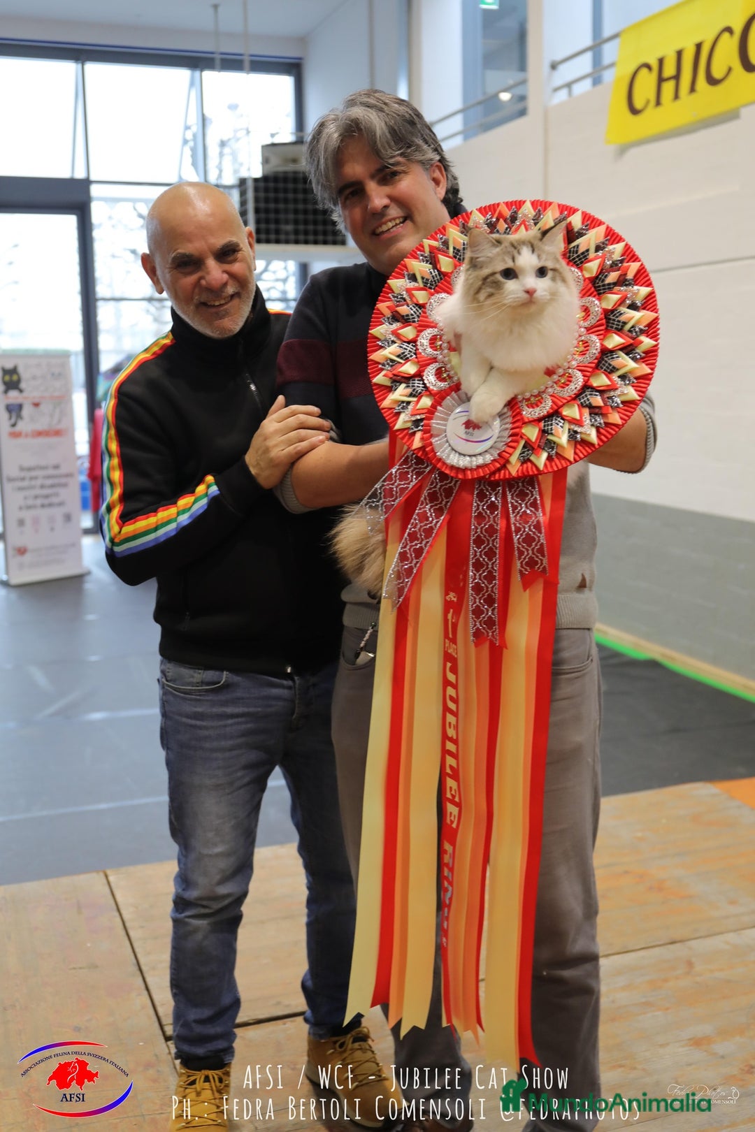 Imagen de galería {{count}}