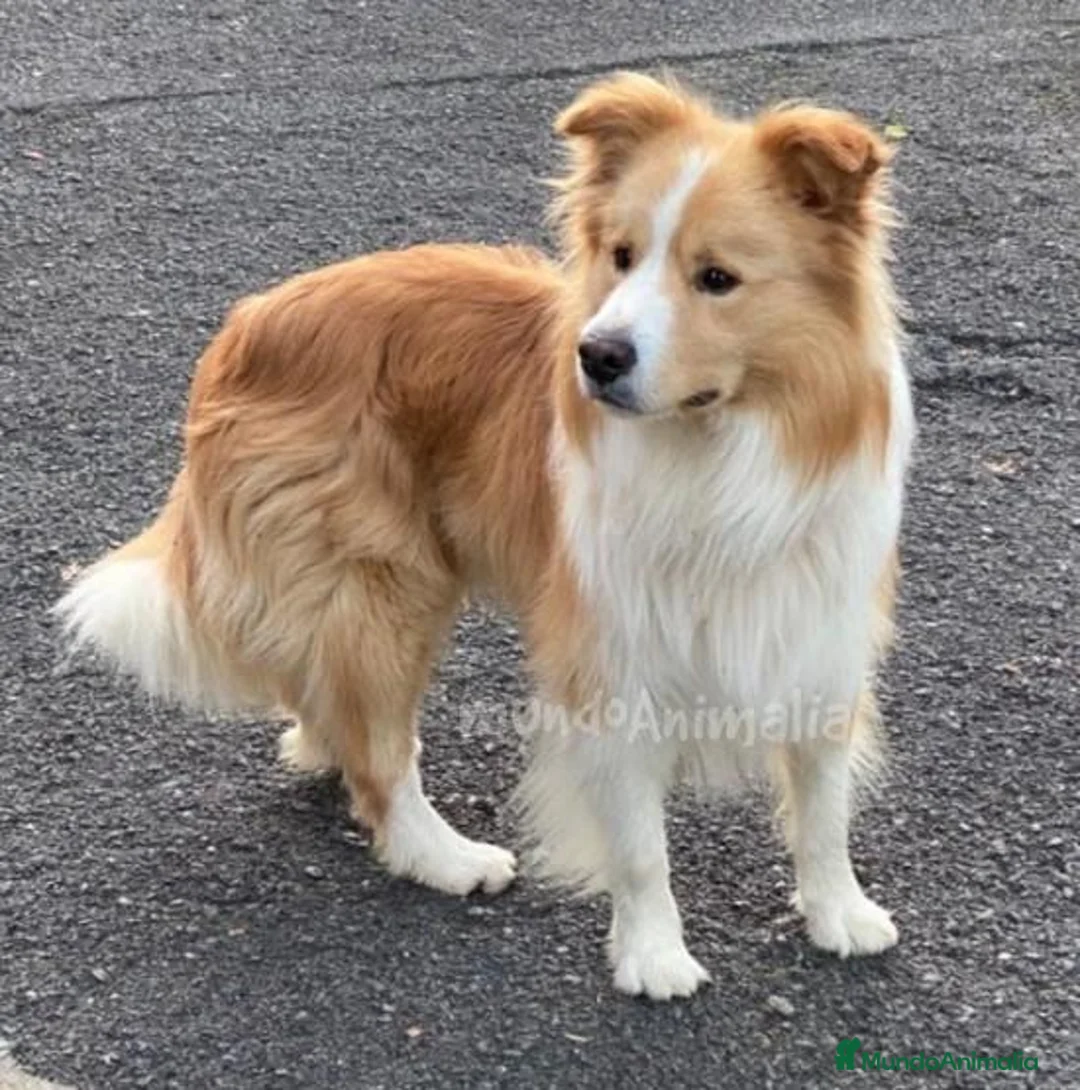 Imagen de galería {{count}}