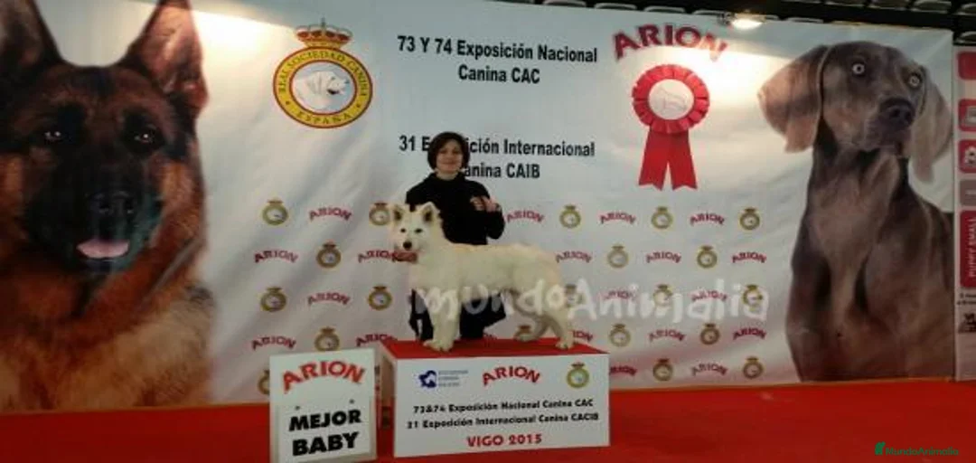 Imagen de galería {{count}}