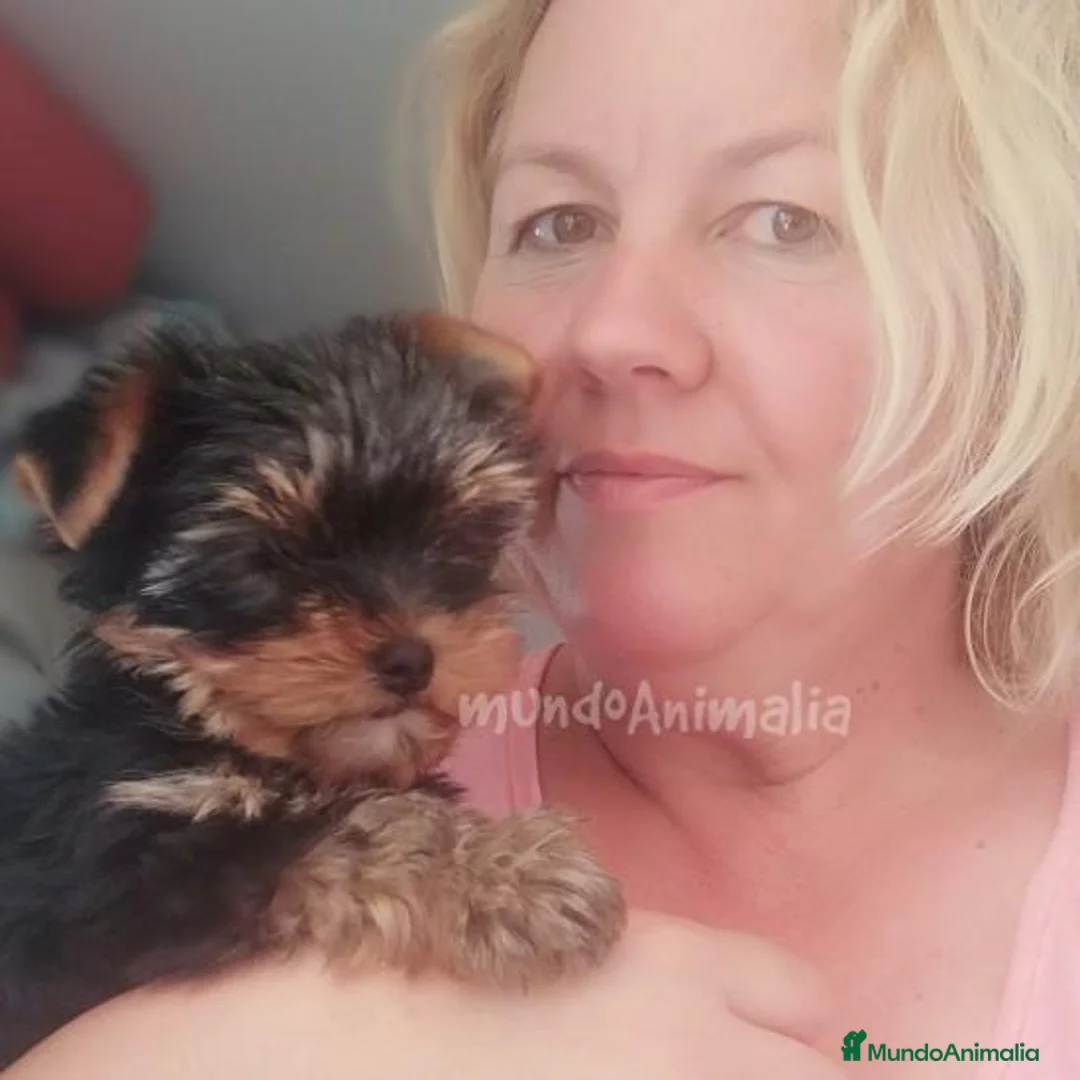 Imagen de galería {{count}}